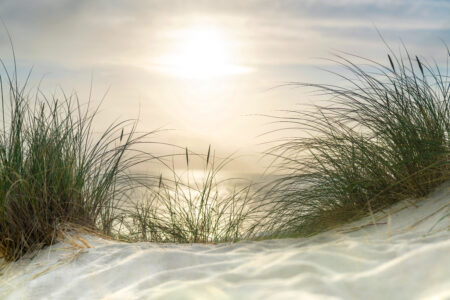 article image -